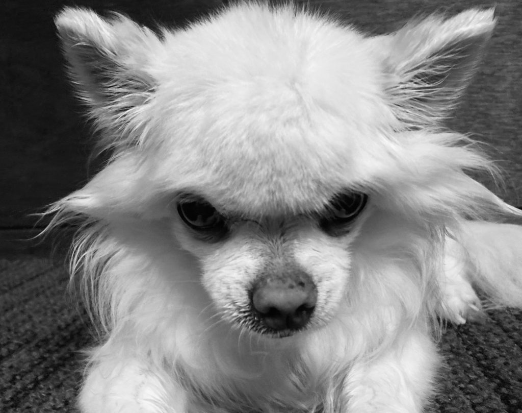 10月のおやすみ