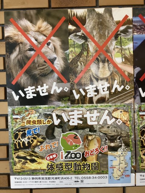 広告にひかれて