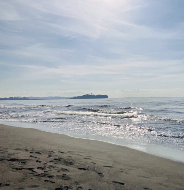 12月のご予約受付中です